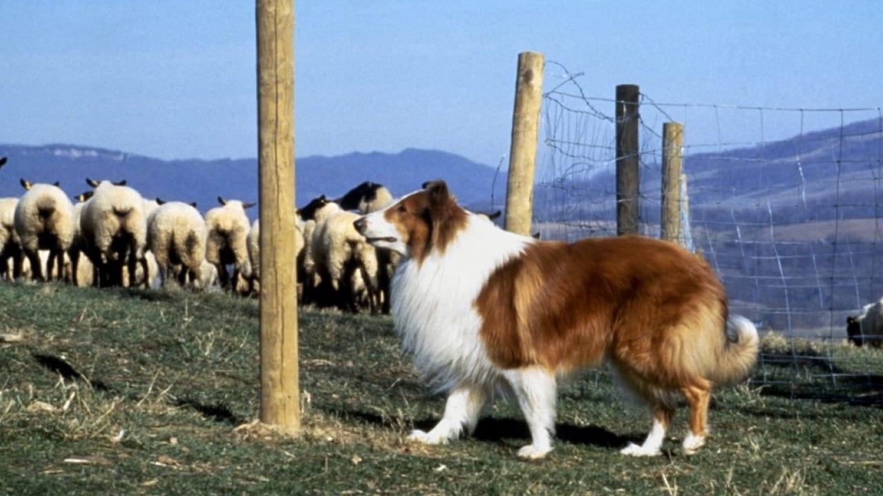 Кадр з фільму